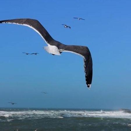 Villa L'Oiseau Bleu Есувейра Екстериор снимка